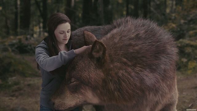 Закулисная магия: как снимали сцену с волками в  Сумерки. Сага. Затмение 